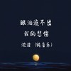 眼泪流不出我的悲伤 (钢琴版) - 沈波