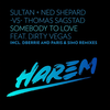 Somebody to Love (DBerrie Remix) - Sultan&Ned Shepard&Thomas Sagstad&Dirty Vegas