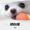 扔白菜（牧童版） - 孤鴻