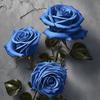 Blue Roses - Kalif