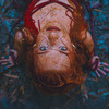 Hold On - Alexia Evellyn