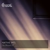 No Blood (Nigel C Remix) - Native (MT)&Nigel C