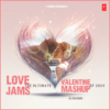 Love Jams The Ultimate Valentine Mashup Of 2024 - Akhil&Dhvani Bhanushali&Payal Dev&Vishal Mishra&Guru Randhawa&Asees Kaur&Ved Sharma&Sachet Tandon&Arijit Singh&Abhijit Vaghani&Bob&Vishal Shelke&The Fusion Project&Pritam&Manan Bhardwaj&Nusrat Fateh Ali Khan&Amaal Mallik&DJ BASQUE