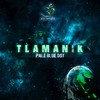 5th Force (Original Mix) - Tlamanik