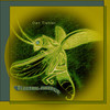Electric Firefly (Techno mix) - Dan Tishler