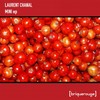 Mini (When Xaric Meets Mister Fogg Remix) - Xaric&Laurent Chanal&Fogg