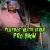 Playboy Vai Te Levar pro Show (Explicit) - MC Jam&ADA do Linho