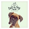 Took My Love - Nick Dare