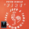 Fire (Jamesm Remix) - James.M&Peter Dimilo&Joeb&Tano