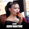 Dudu Mantune (Live Version) - seshin