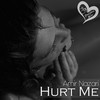 Hurt Me - Amir Nazari