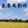 我要找到你 (氛围版) - 煜坤