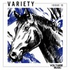 Vizeon - Hannes Bruniic