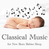 Serenade No. 13 in G Major, K. 525 