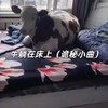 牛躺在床上（诡秘小曲） - 大清第一巴图鲁