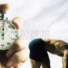 豪稍豪稍 - 王渊超
