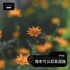 没人可以带走你的苦与痛 - 琥珀
