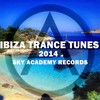 Sisters Anthem (O.B.M Notion Remix) - Belle