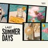 Last Summer Days - Roberto Pedoto