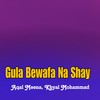 Gula Bewafa Na Shay - Aqal Meena&Khyal Mohammad