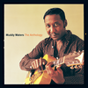 Honey Bee - Muddy Waters