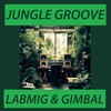 Jungle Groove - Labmig&Gimbal