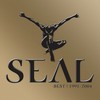Waiting for You - Seal