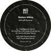 Birth (Synkro Remix) - Madison Willing&dBridge