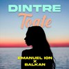 Dintre Toate (feat. Balkan) - Emanuel Ion&balkan