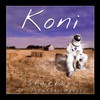 Starboy(feat. Johannes Weber) - Koni&Johannes Weber