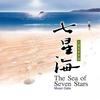 青丝 - 林海&范宗沛