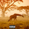 Selvagem (Remix|Explicit) - Patyel&jovem miller&Jeff DevilFish