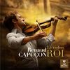 II. Andante - Renaud Capuçon&Antoine Tamestit&Louis Langree&Scottish Chamber Orchestra