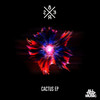 Cactus (Victor Niglio feat. P. Keys Remix) - 8Er$&Troy Kete