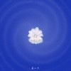 珍珠贝壳 - 蒋小呢