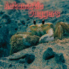 Automatic Daggers - Ted Turner