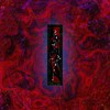 Required in This World - Alout