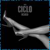 Ciclo Vicioso (Speed) - Mc LM&Dj Vinny ZL