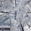 4949 - Systematic Dub (Short Edit) - riccicomoto