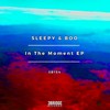 Completely Chosen (Original Mix) - Sleepy & Boo