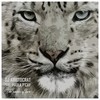 The Power of Love (Original Mix) - DJ Aristocrat&Paula P'Cay