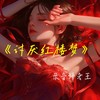 讨厌红楼梦 - 录音师老王