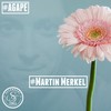 Die kleine Fee juchee - Martin Merkel