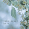 可惜落花不会留在春天 - 苏星婕&王忻辰