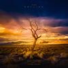 The Calling (feat. Inner Pieces) - Sean Tinnion&Inner Pieces