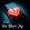 you hurt me - Pala