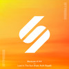 Lost in the Sun (feat. Ruth Royall) - Because Of Art&Ruth Royall