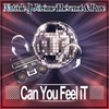 Can You Feel It (Radio Edit) - Natéole&Jerome Thevenot&Pure