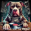 Pitbull Vai Te Pegar (Explicit) - Dj Bruno Remix Original&Mc Fvg&Tiw Bomba&MC Careconi