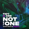 Not The One (Dan Heale Remix) - Tidy&dee&Dan Heale